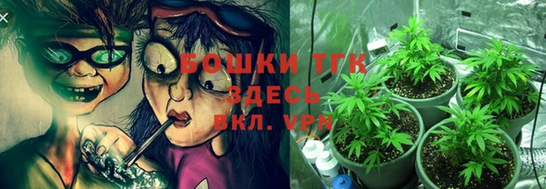 дживик Новодвинск